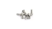 Titan Titanium Low-Head Screw 3X8mm (8)